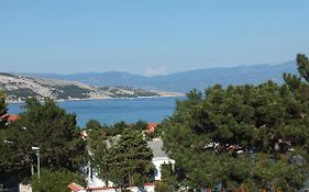 Apartments Amore